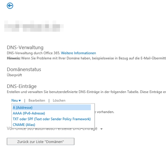 Bild 2: In den DNS-Einstellungen können Sie für die Domäne weitere Einträge erzeugen