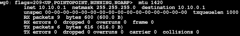  Bild 1: Mit ifconfig prüfen Sie, ob das Netzwerkgerät korrekt angelegt wurde. 