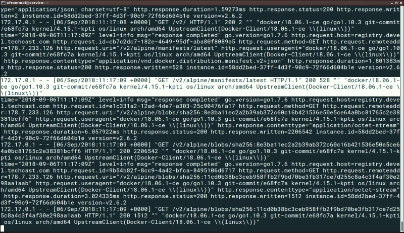 Bild 2: Die Docker-Registry protokolliert jeden einzelnen Request.