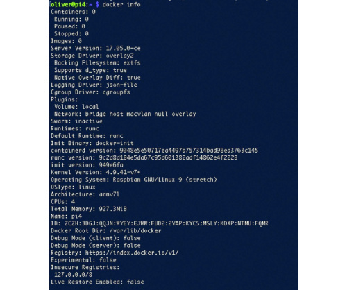 Bild 2:  Über den Befehl "docker info" alle wichtigen Daten anzeigen lassen.