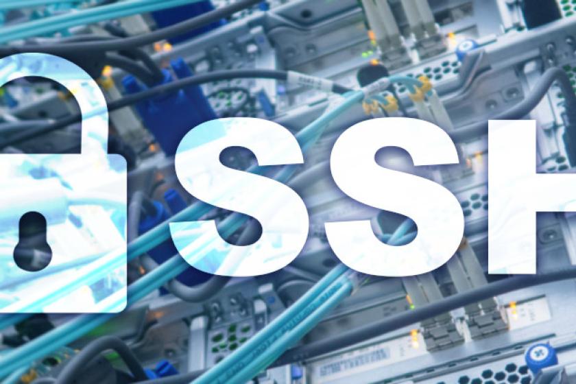 SSH als dauerhafte Backdoor aufgrund Plague-Malware.