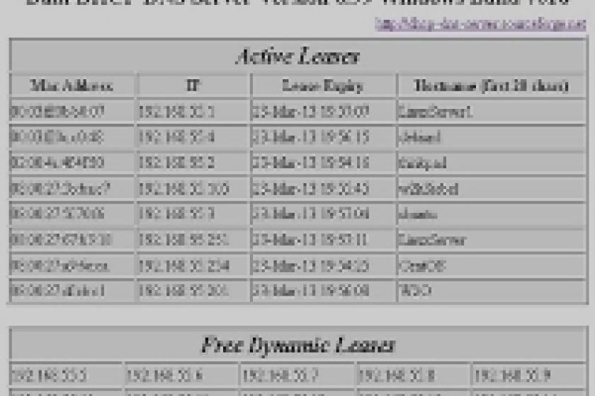 Dual DHCP DNS Server