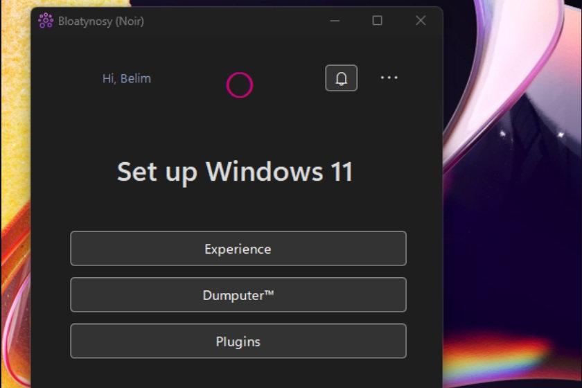 Werfen Sie unnötigen Windows-Ballast über Bord mit Bloatynosy.