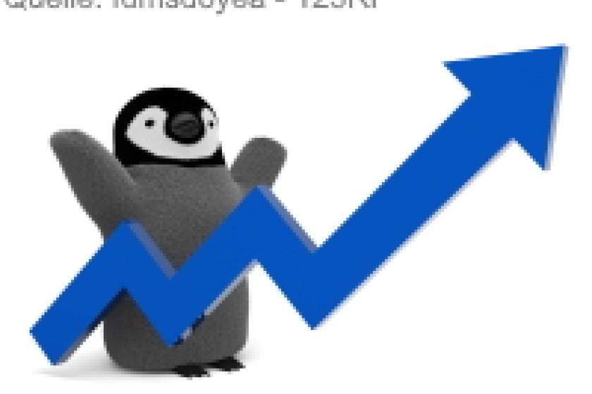 Ob die Performancewerte stimmen, lässt sich mit diversen Linux-Bordmitteln leicht messen.
