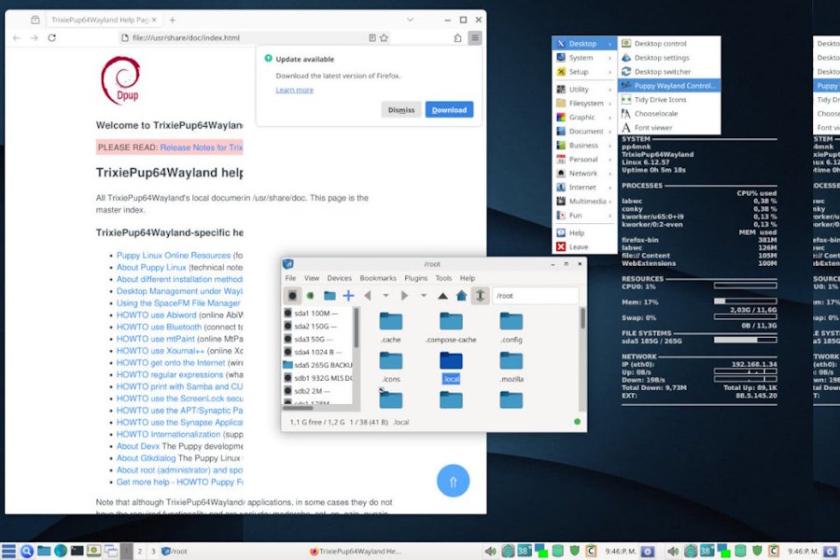 Desktop-Screenshot von TrixiePup64, einer Puppy-Linux-Distribution, im Live-Betrieb mit System- und Dateiverwaltungswerkzeugen.