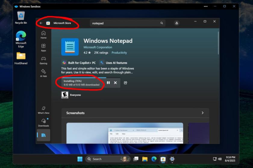 Screenshot des Microsoft Store, der in einer Windows-Sandbox läuft.