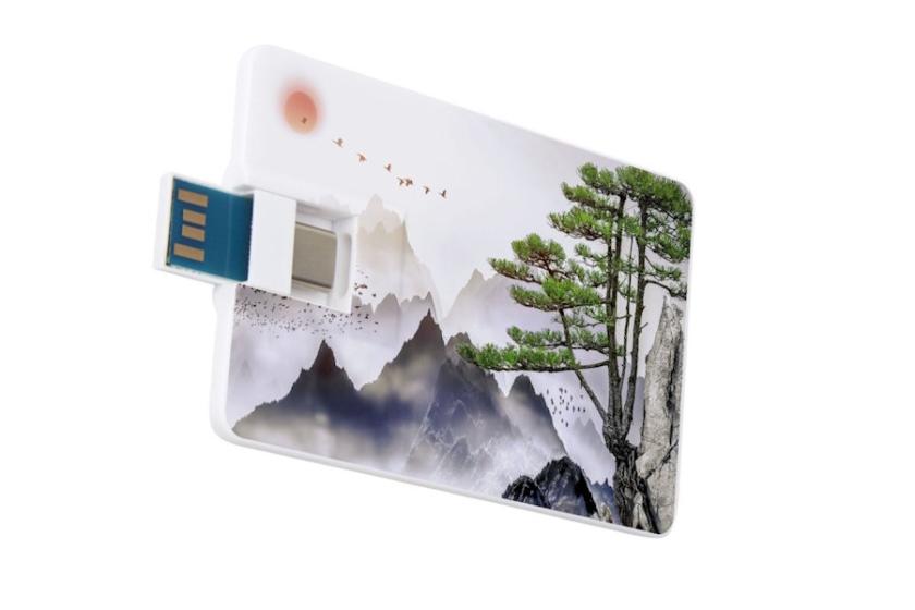 USB-Karte im Scheckkartenformat mit USB-A- und USB-C-Stecker, bedruckt mit einem Landschaftsmotiv, geeignet für mobilen Datentransfer.