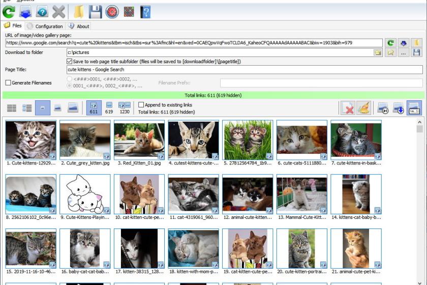 Wem die kostenfreie Version des Bulk Image Downlader nicht ausreicht, kann auf funktionsreichere, kostenpflichtige Ausführungen umsteigen.