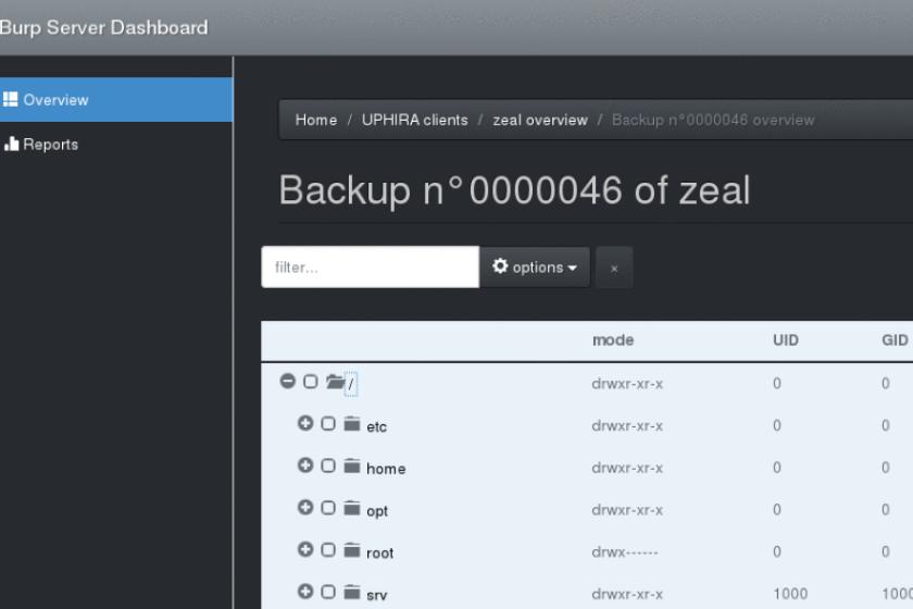 Screenshot der Software Burp-UI, auf dem mehrere gesicherte Linux-Verzeichnisse zu sehen sind.
