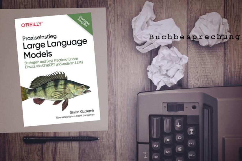 Praxiseinstieg Large Language Models