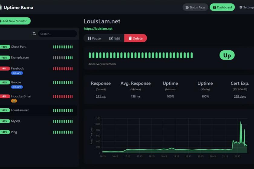 Screenshot des Tools Uptime Kuma mit grünen Graphen und Linien.