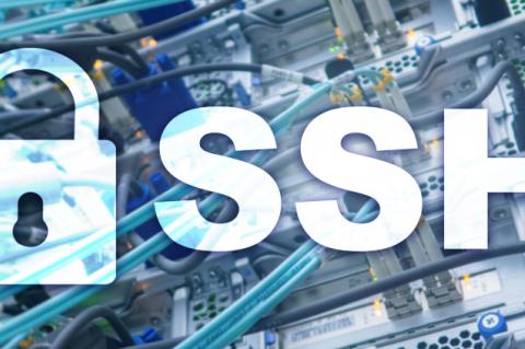 SSH als dauerhafte Backdoor aufgrund Plague-Malware.
