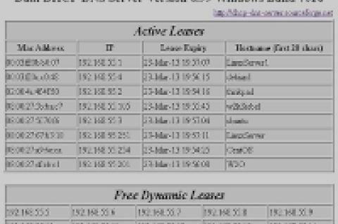 Dual DHCP DNS Server