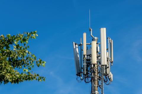 Mobilfunk-Antennen an einem Mast neben den Ästen eines grünen Baums.