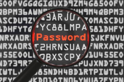 Passwörter, die über Software-Repositories unbeabsichtigt an die Öffentlichkeit gelangen, sin ein großes Problem. (Quelle: imilian - 123RF)