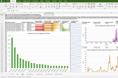 Screenshot einer Tabellenkalkulation mit Diagrammen und farblich hervorgehobenen Daten in der Office-Anwendung Collabora Office for desktop, mit grüner Menü- und Symbolleiste.