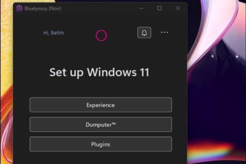 Werfen Sie unnötigen Windows-Ballast über Bord mit Bloatynosy.