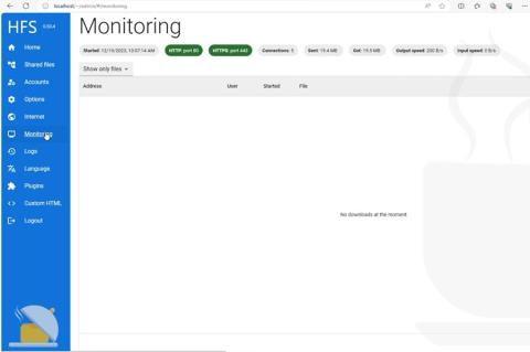 In HFS integriert ist eine Monitoringkomponente, die über aktuelle Dateitransfers informiert.