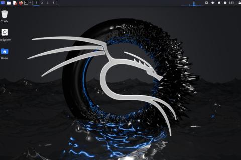 Das erste Release 2024 von Kali Linux bringt vier neue Tools mit. (Quelle: kali.org)