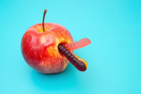 Auch wenn iOS-Nutzer stark auf die Sicherheit des Betriebssystem setzen. Vor Onlinebetrug sind auch iPhones nicht gefeit. (Quelle: cometakatie – 123RF)