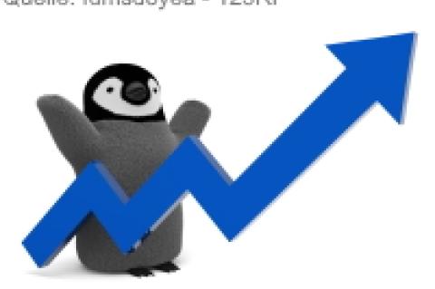 Ob die Performancewerte stimmen, lässt sich mit diversen Linux-Bordmitteln leicht messen.