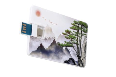 USB-Karte im Scheckkartenformat mit USB-A- und USB-C-Stecker, bedruckt mit einem Landschaftsmotiv, geeignet für mobilen Datentransfer.