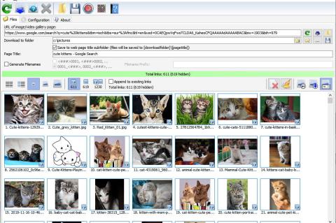 Wem die kostenfreie Version des Bulk Image Downlader nicht ausreicht, kann auf funktionsreichere, kostenpflichtige Ausführungen umsteigen.