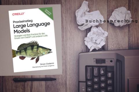 Praxiseinstieg Large Language Models