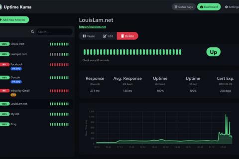Screenshot des Tools Uptime Kuma mit grünen Graphen und Linien.