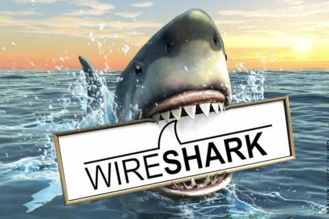 Bei der Netzwerkanalyse mit Wireshark gilt es bei einer Netzwerksegmentierung mit VLANs einige Besonderheiten zu beachten.